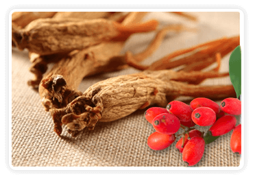 Berberine & Ginseng
